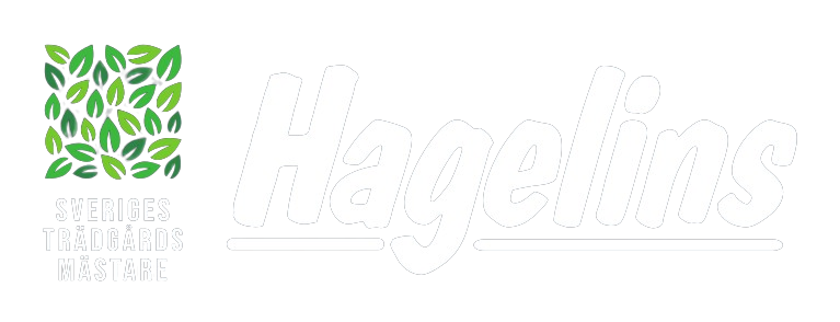Hagelins logo